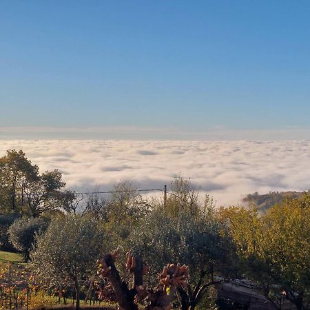 Montebello Vicentino Al Colle Rooms المظهر الخارجي الصورة