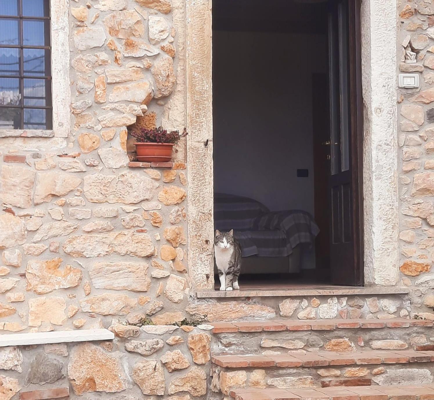 Montebello Vicentino Al Colle Rooms المظهر الخارجي الصورة