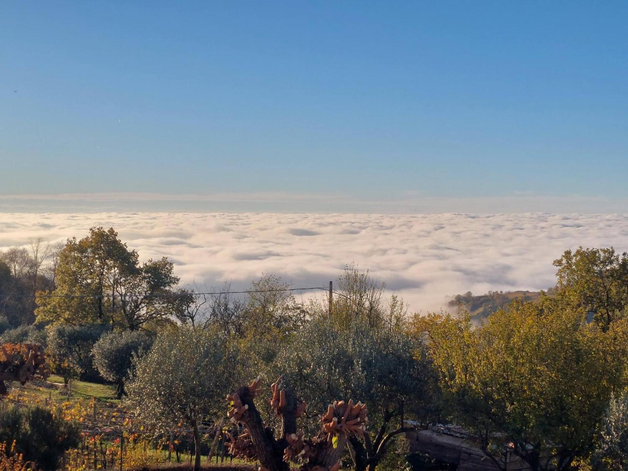Montebello Vicentino Al Colle Rooms المظهر الخارجي الصورة